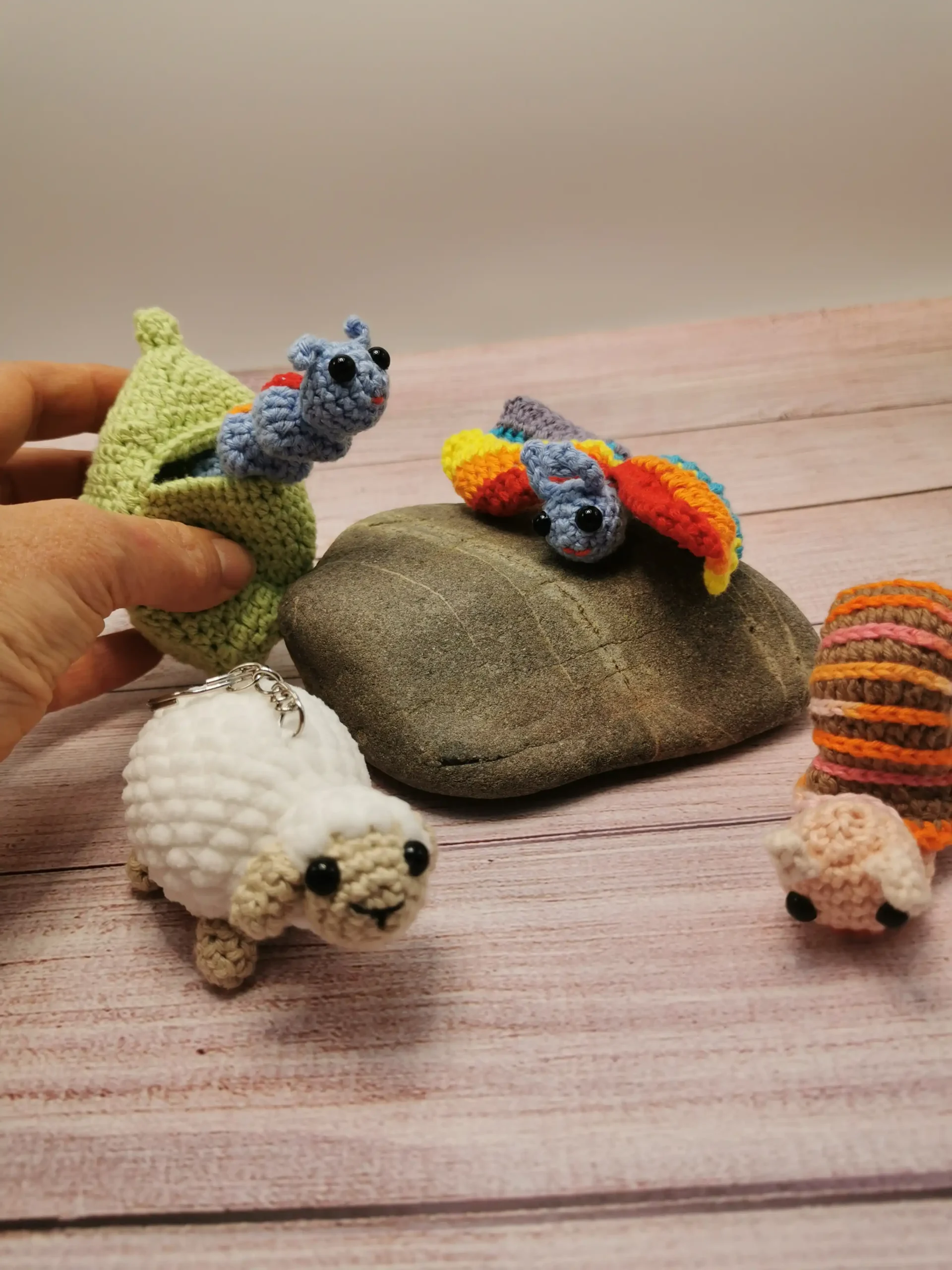 Papillon-chenille, escargot et mouton commande de Caroline