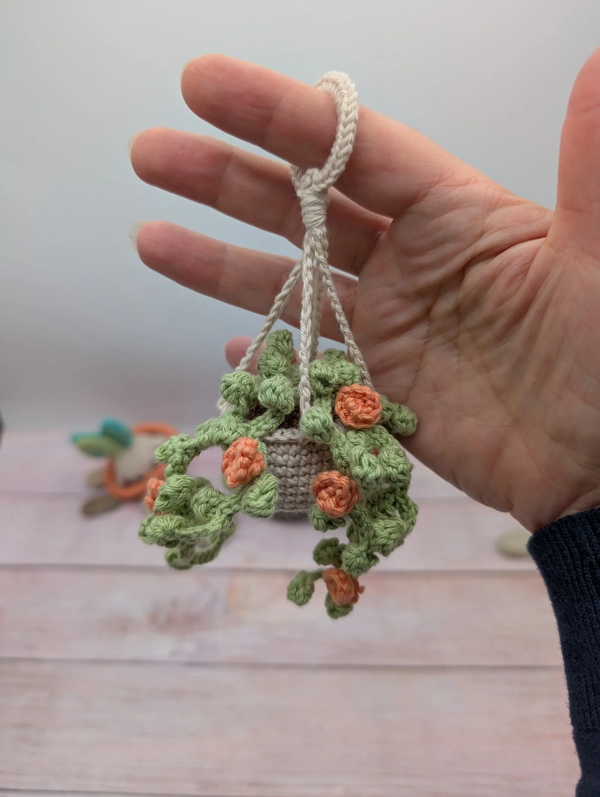 Plante Succulente fait main au crochet par La Mu's Heure