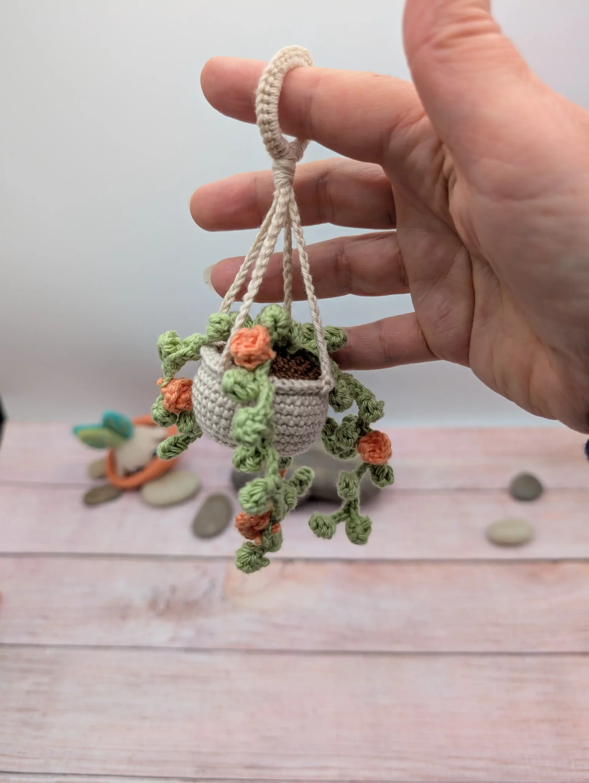 Plante Succulente fait main au crochet par La Mu's Heure