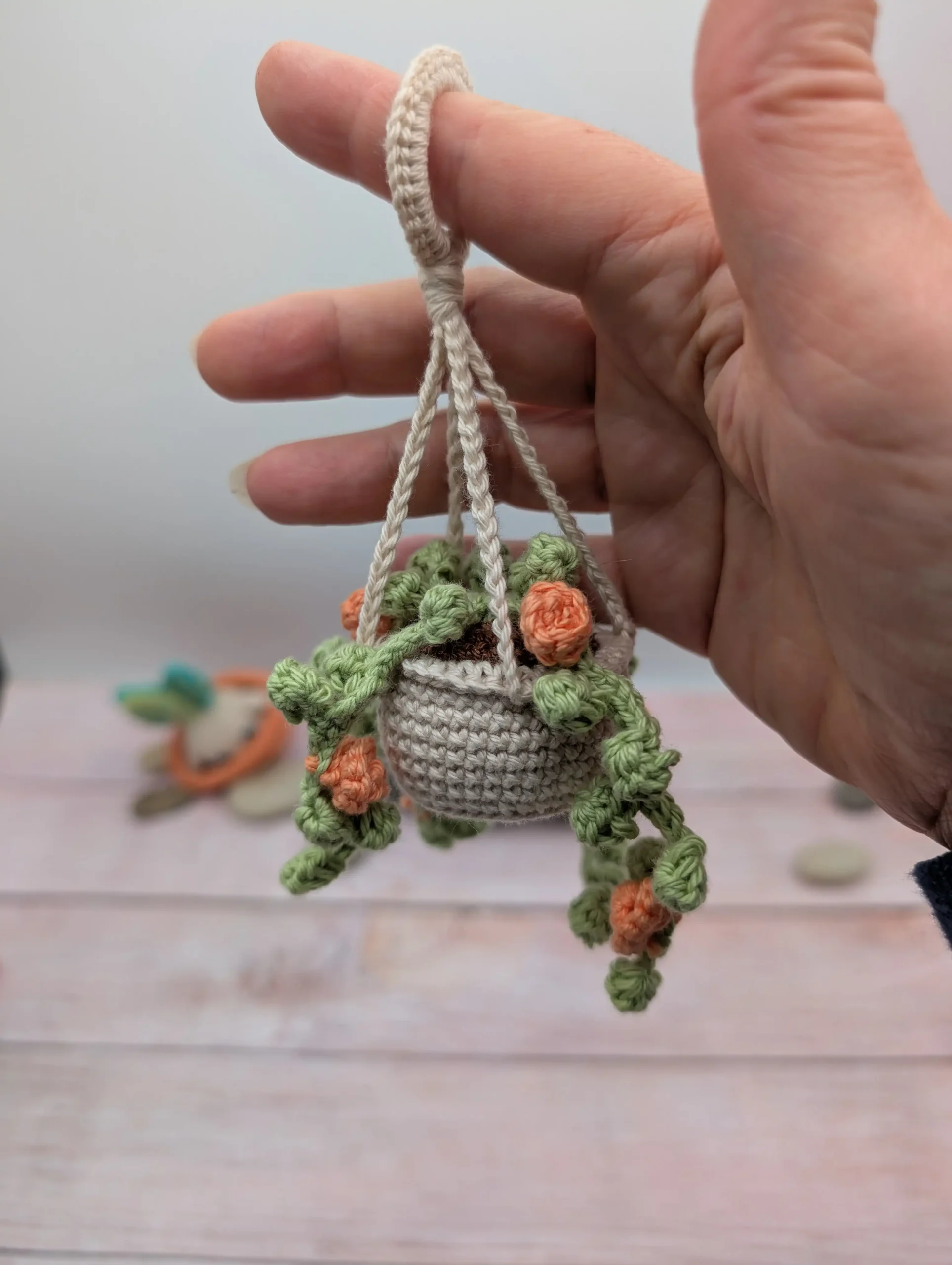 Plante Succulente fait main au crochet par La Mu's Heure