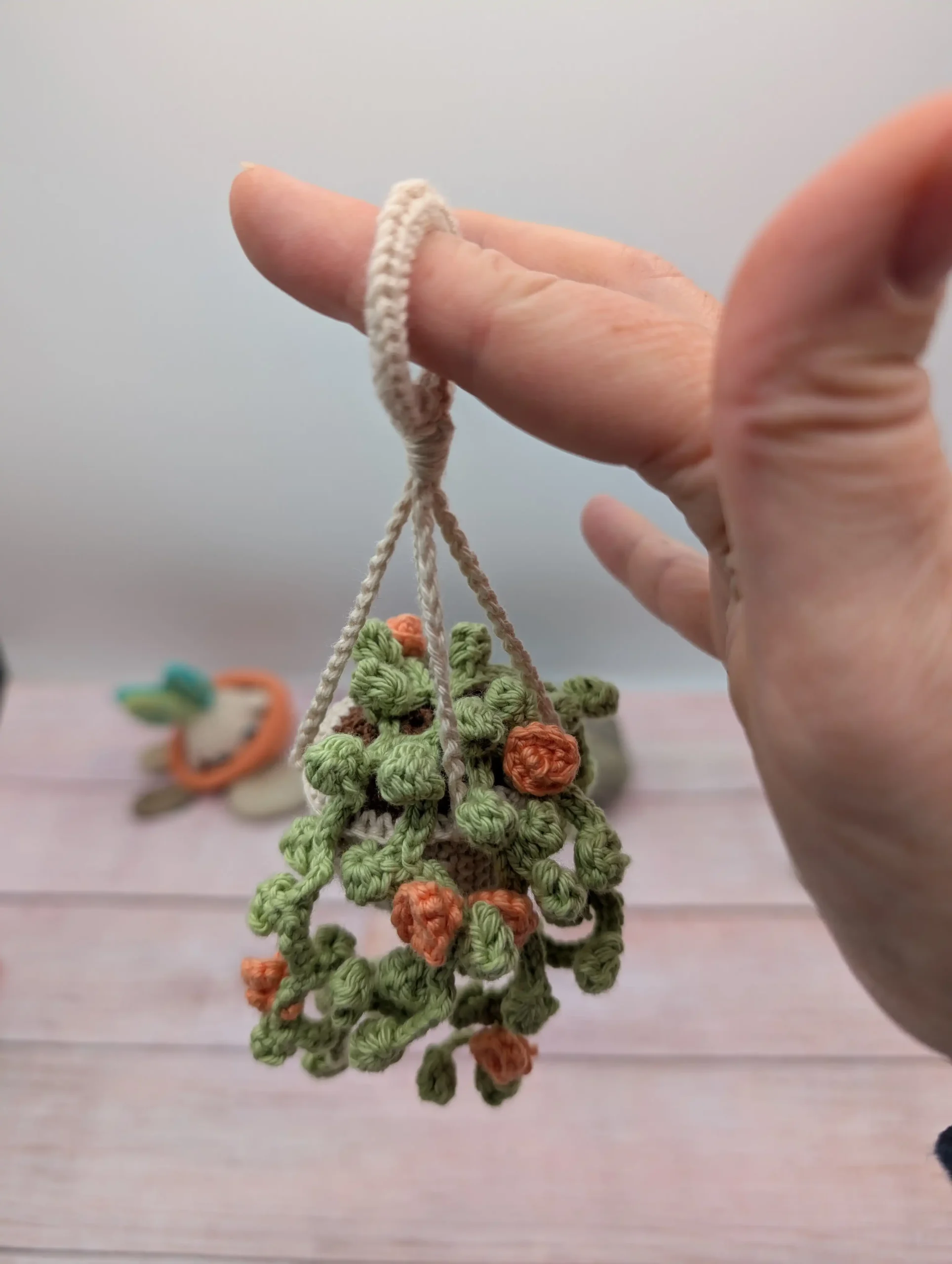 Plante Succulente fait main au crochet par La Mu's Heure