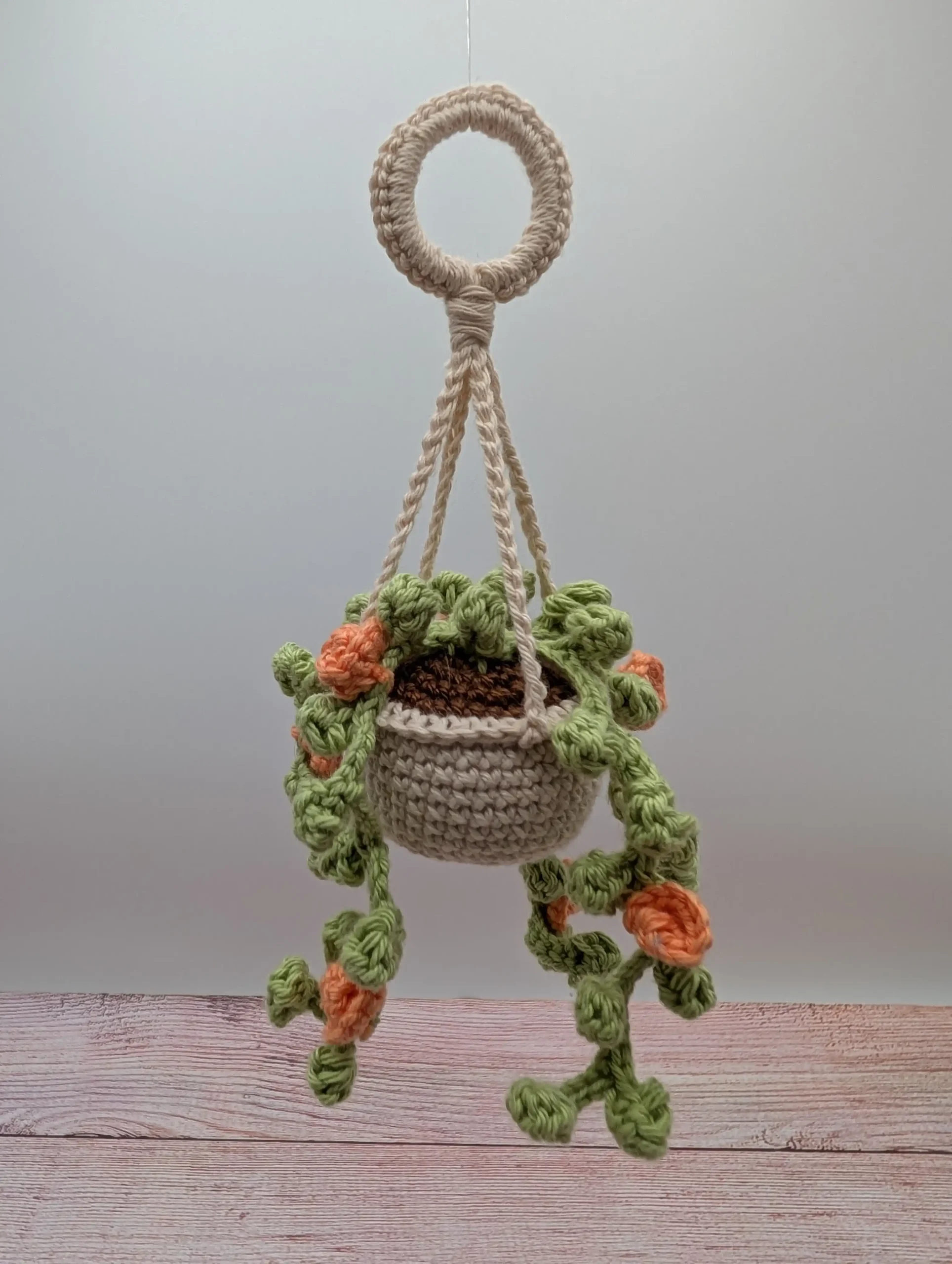 Plante Succulente fait main au crochet par La Mu's Heure