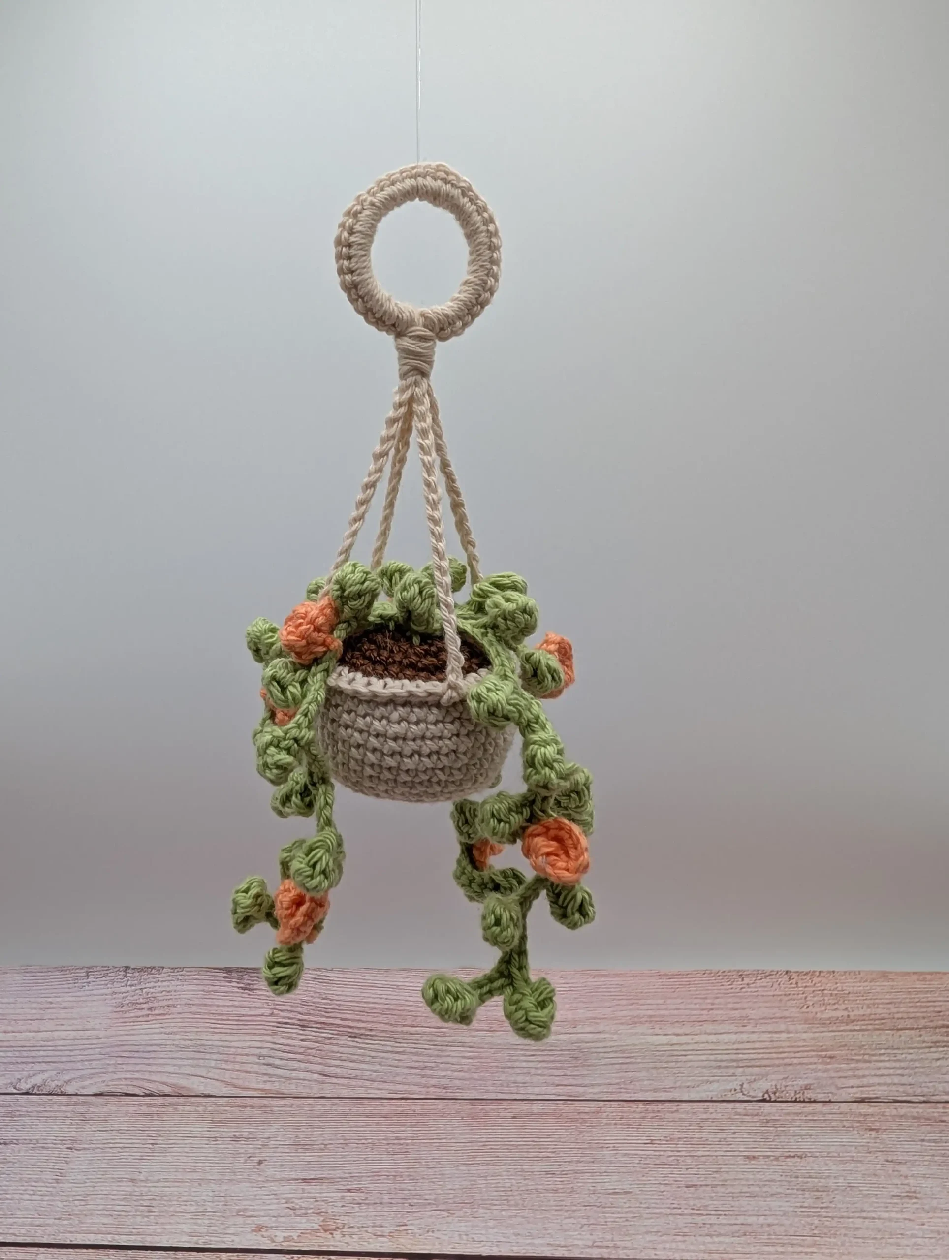 Plante Succulente fait main au crochet par La Mu's Heure