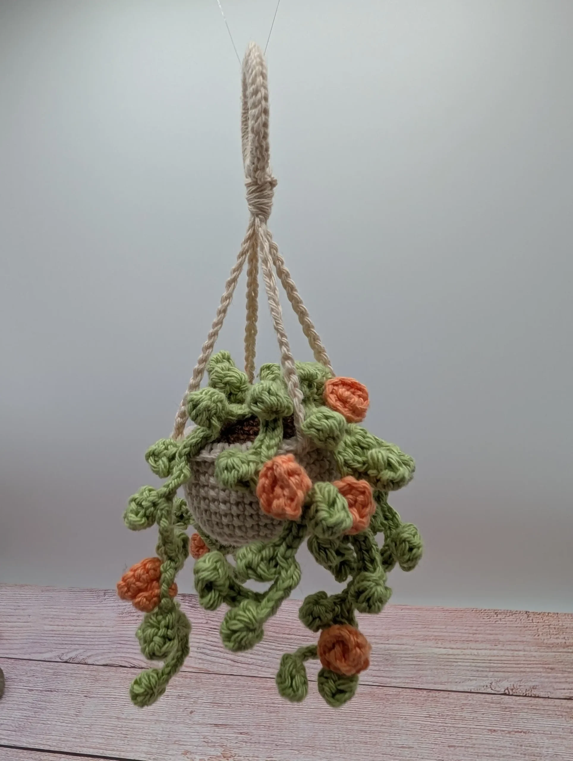 Plante Succulente fait main au crochet par La Mu's Heure