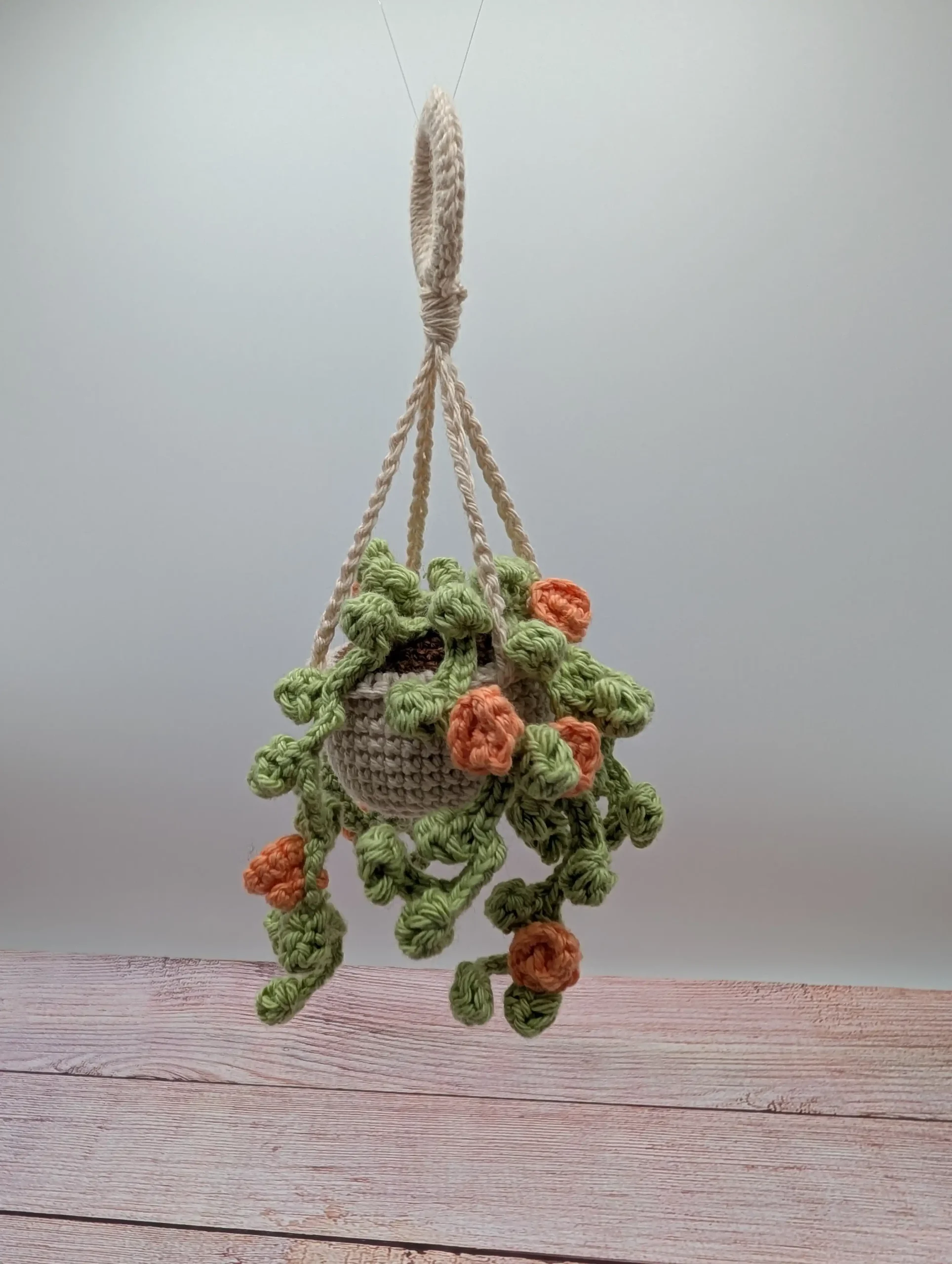 Plante Succulente fait main au crochet par La Mu's Heure