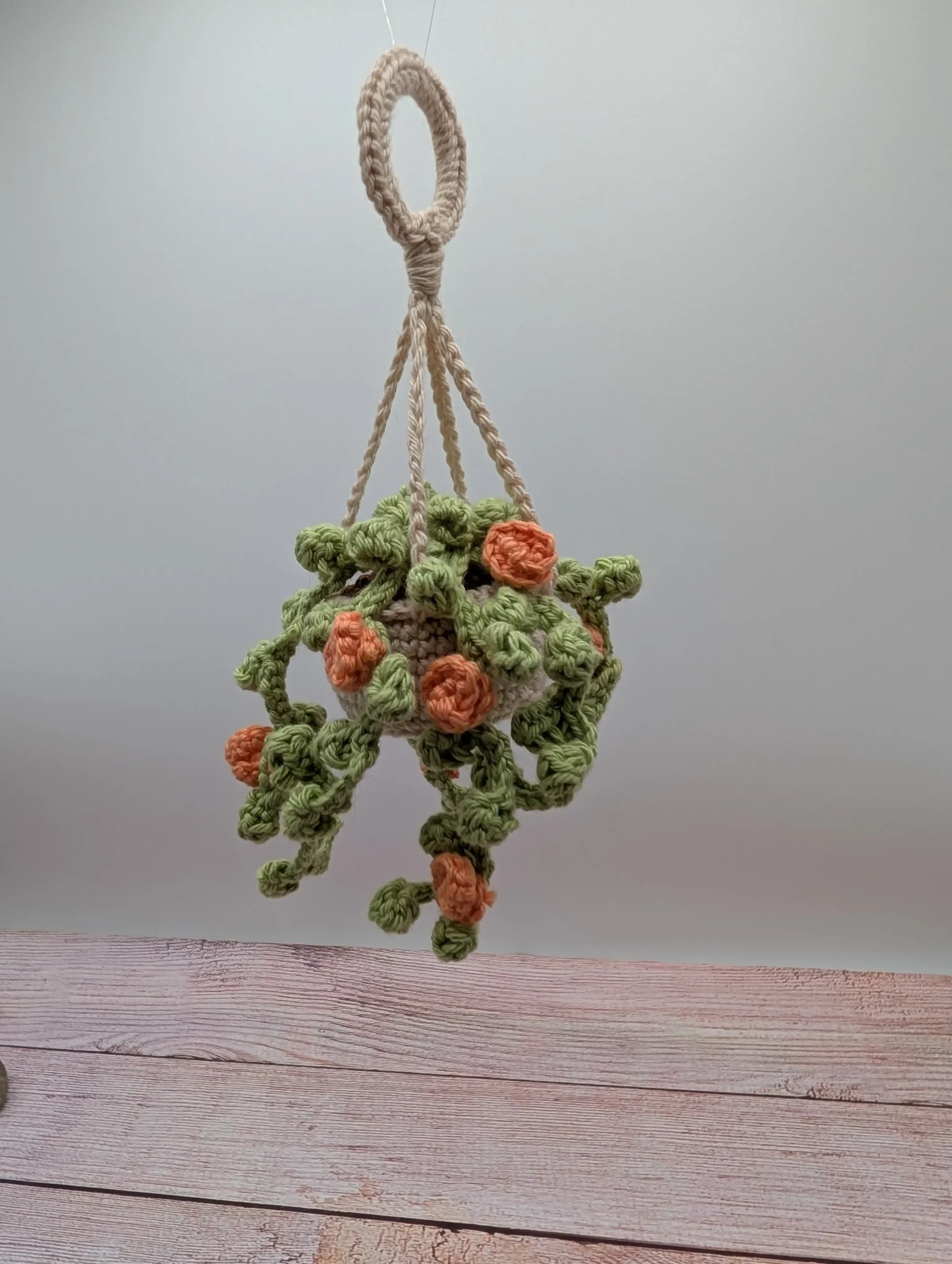 Plante Succulente fait main au crochet par La Mu's Heure