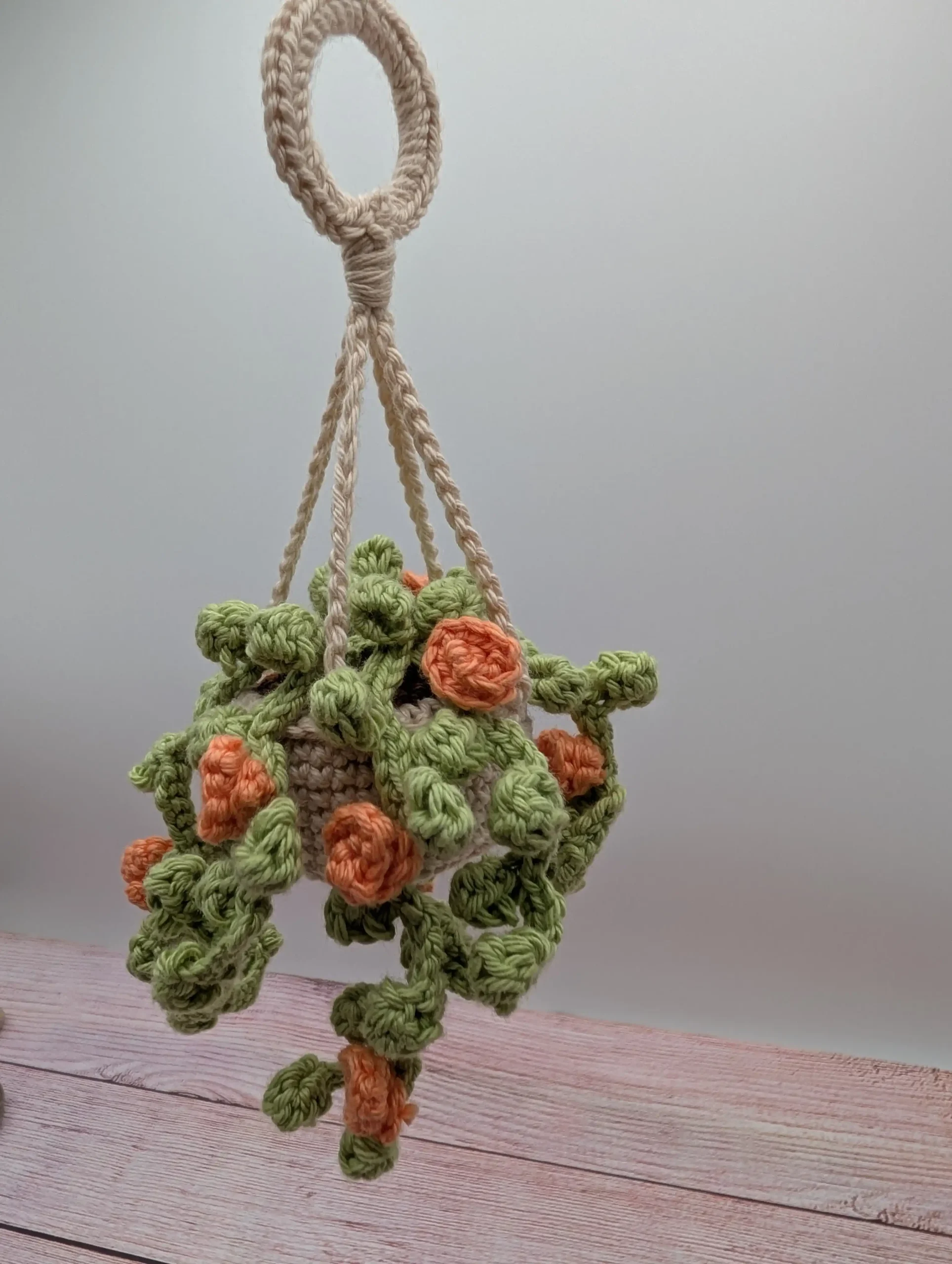 Plante Succulente fait main au crochet par La Mu's Heure