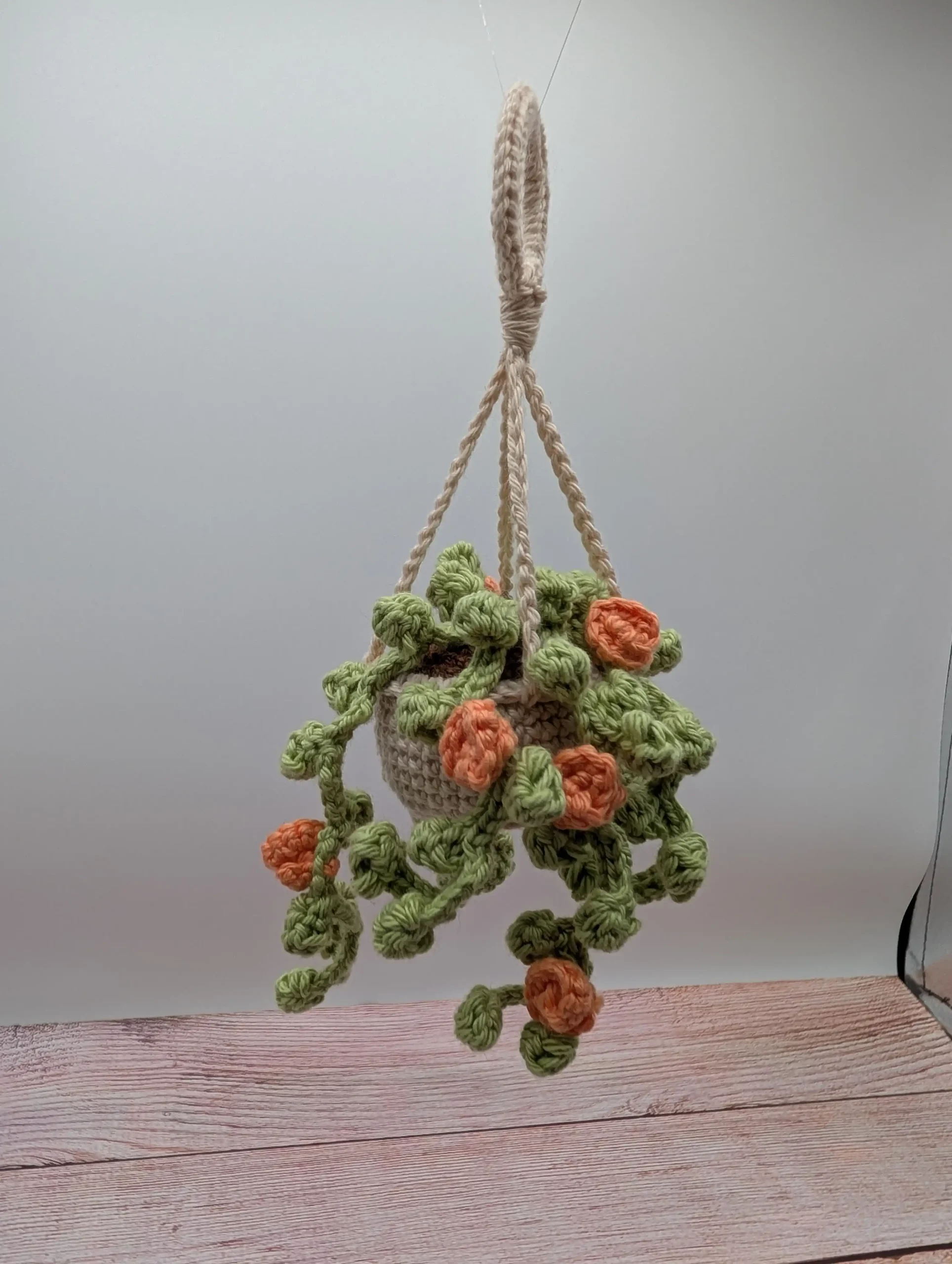 Plante Succulente fait main au crochet par La Mu's Heure