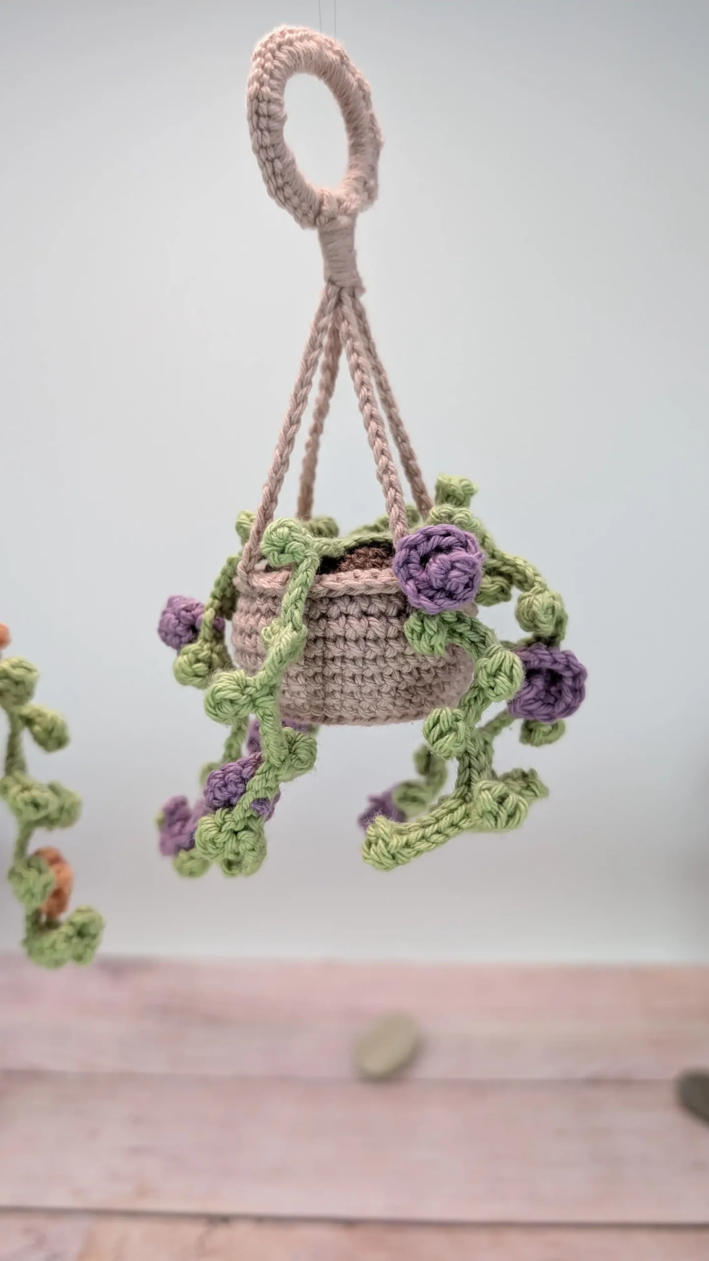 Plante Succulente fait main au crochet par La Mu's Heure